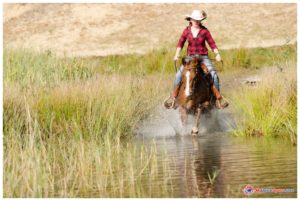 Reining